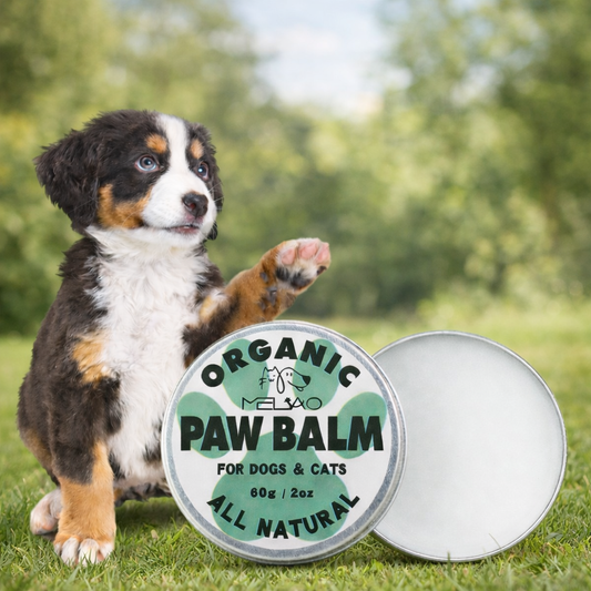 pet paw balm